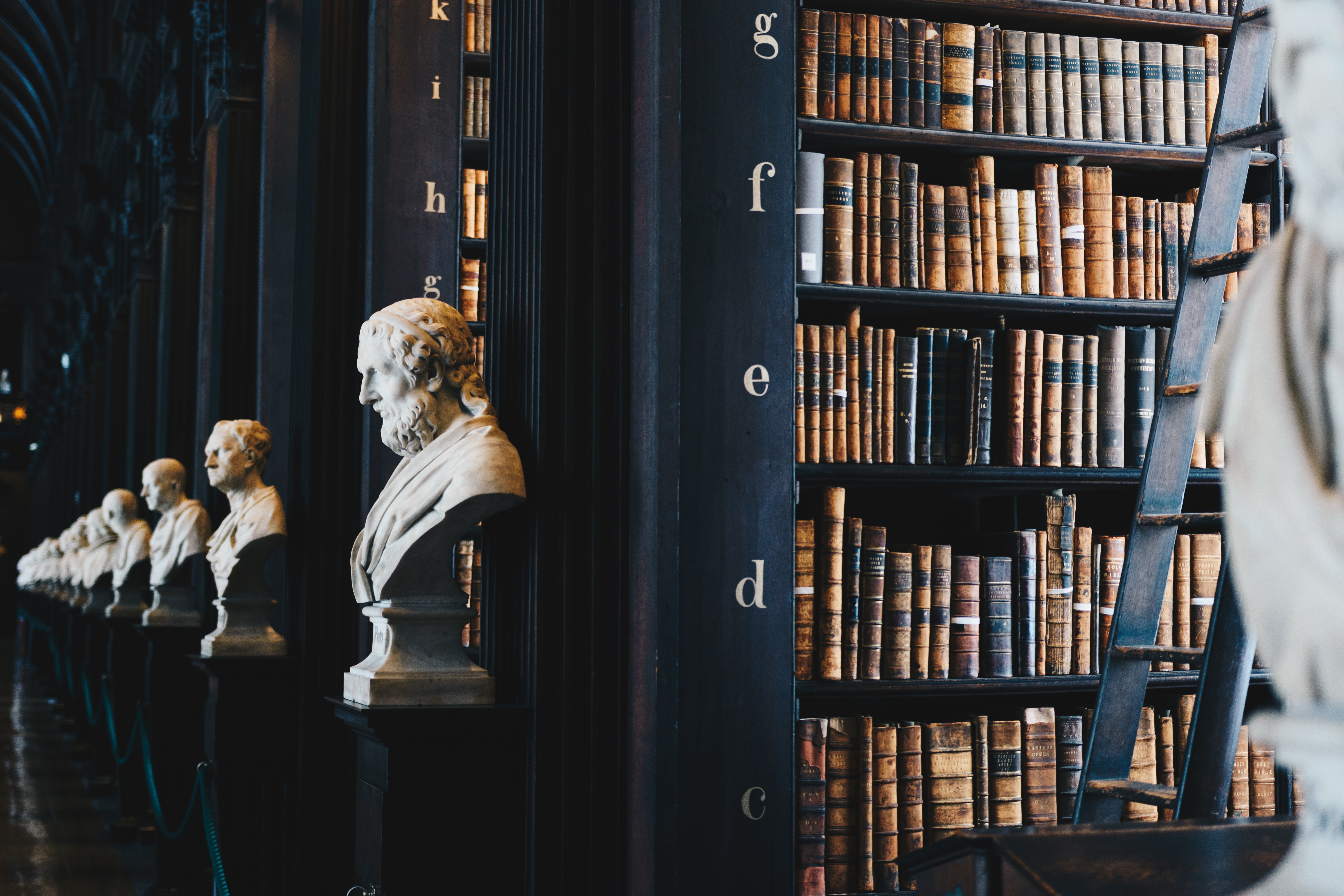 A law library full of hardcover books on the shelves and status in front of each bookcase